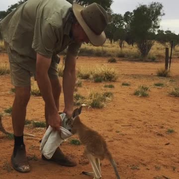 Patrick Loves His Pouch