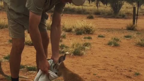 Patrick Loves His Pouch