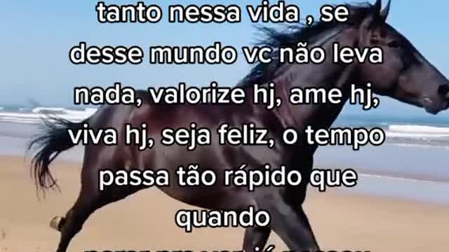 Motivation