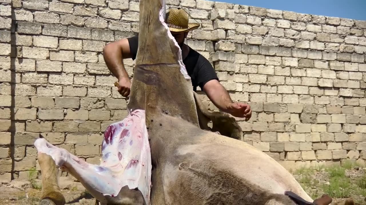 Cutting A Whole 700kg Camel! The Biggest Dish in the World