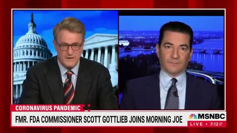 Former FDA Commissioner and Pfizer Board Member Scott Gottlieb joins MSDNC