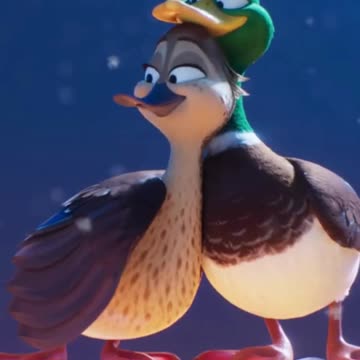 Migration Watch comedy movies for free. #migrationmovie #gwentok #ducks #iloveyou #happyholidays