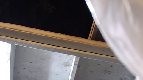 My Chickens are hungry!