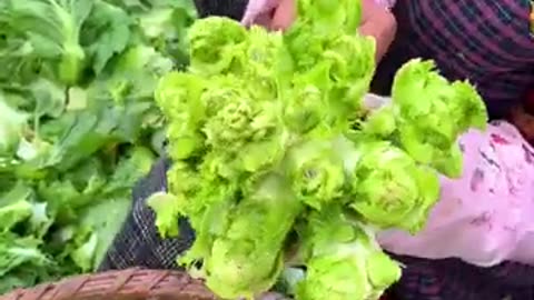 Amazing veggies farm! #farming #harvesting