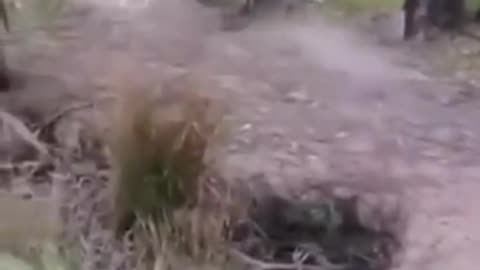 Fuuny r y ?