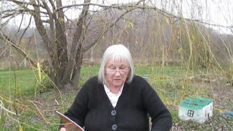 Tales from under the trees