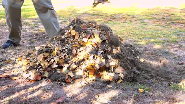 NEVER Throw Away Toilet Paper Rolls 5 Uses in Gardening