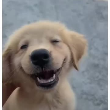 Funny moments #70 🤣