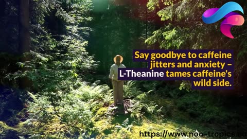 Unleash Your Mind: The Power of L-Theanine for Calm Focus