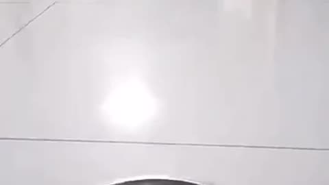Cat funny video