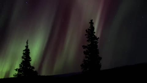 Wilderness of North America's National park