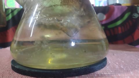 Fat Bong Rip to see if rumble deletes cannabis content?