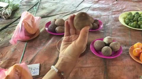 We found ROLLINIA!!! (the lemon meringue pie fruit)