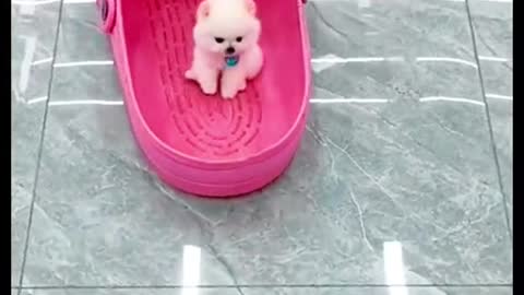 🥰🥰🥰