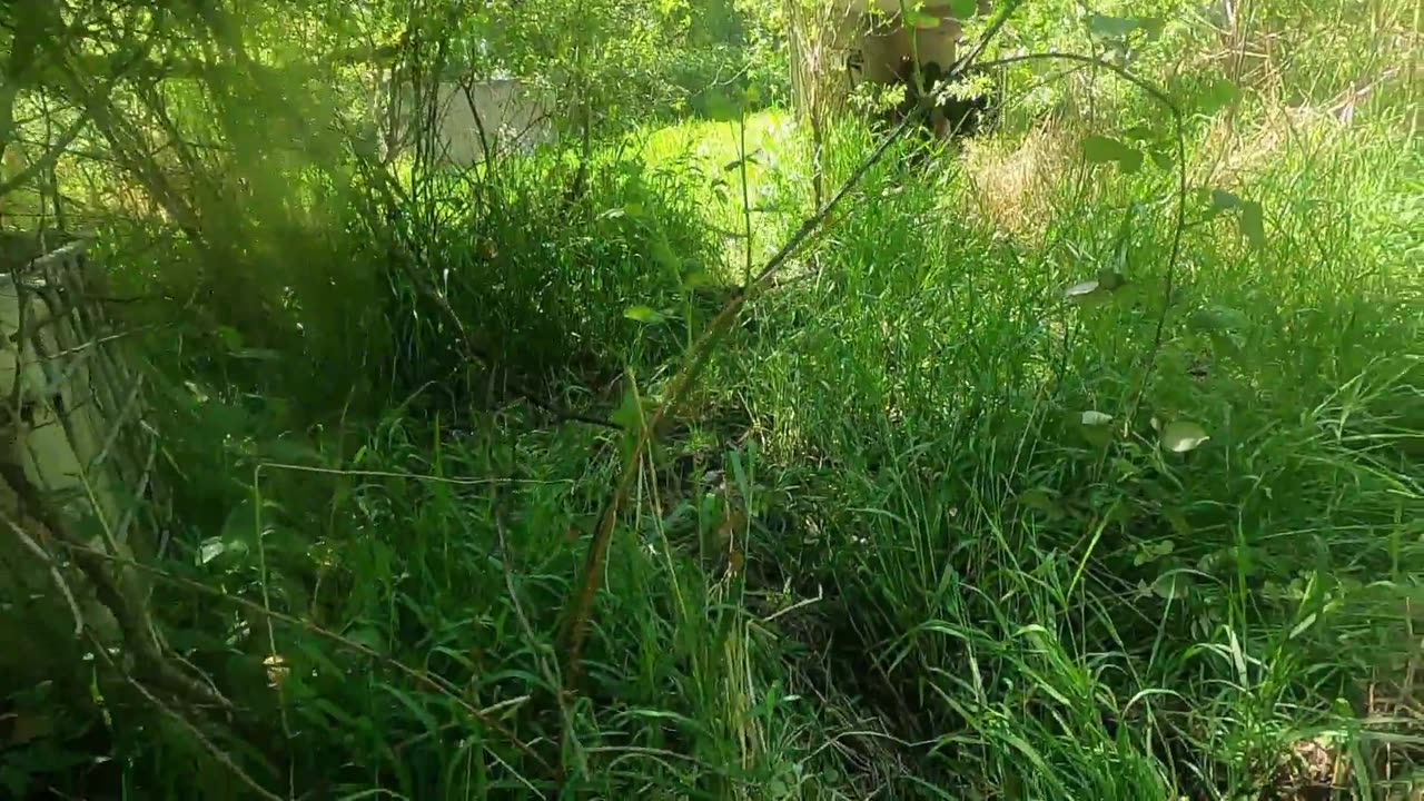 Tank Drop Hideout - Short - Operators SG 55 Sat. 2 - Super Game 55 Paintball