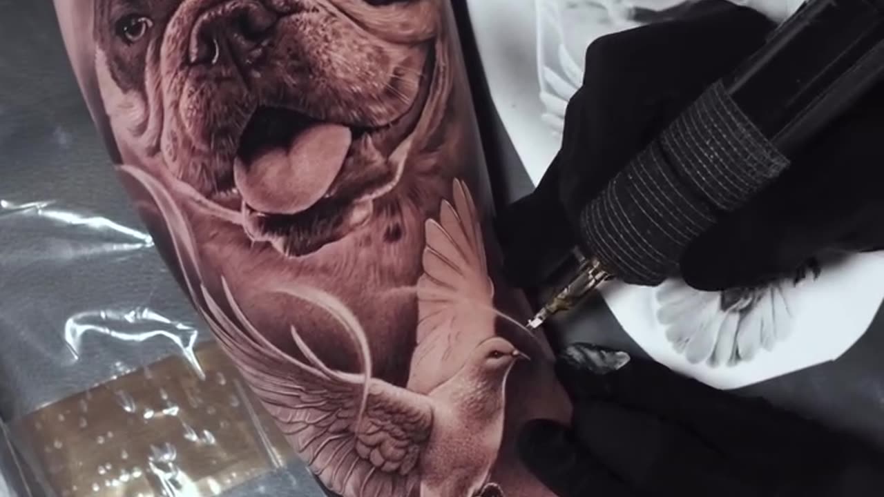 BEAUTIFUL Dog Portrait Tattoo -Jose Contreras in TEXAS.