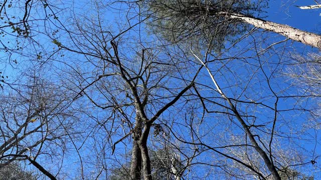 Greg’s Two Falls - Little River Canyon Nature Preserve - Fort Payne, Alabama