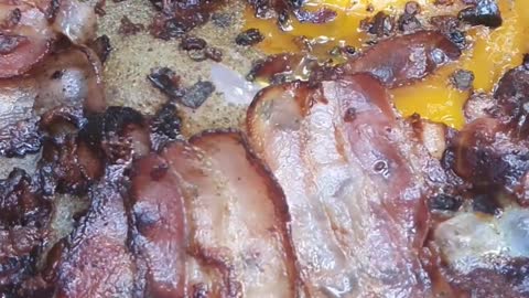 You can't cook bacon and eggs in the oven!