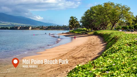 Maui Beach Parks Tour