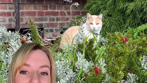 Elwood the cat was promoted to official security guard cat after spending over a year volunteering.