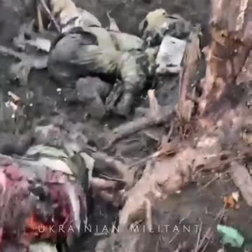 Insane Footage from Ukrainian Militant (Brutal)