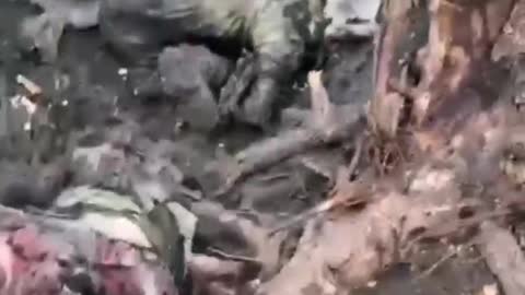 Insane Footage from Ukrainian Militant (Brutal)