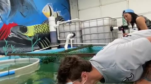 I got knockout by a fish