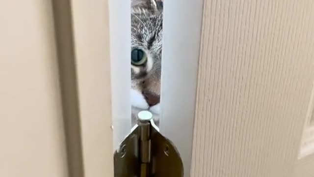And I can't even Close my Bathroom door