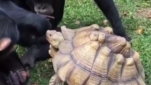 Don't forget to share with your best friend!