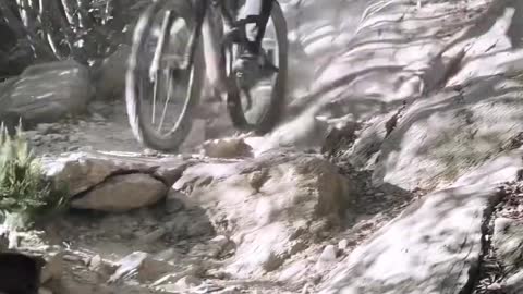1748# MTB Enduro GIRL with syle
