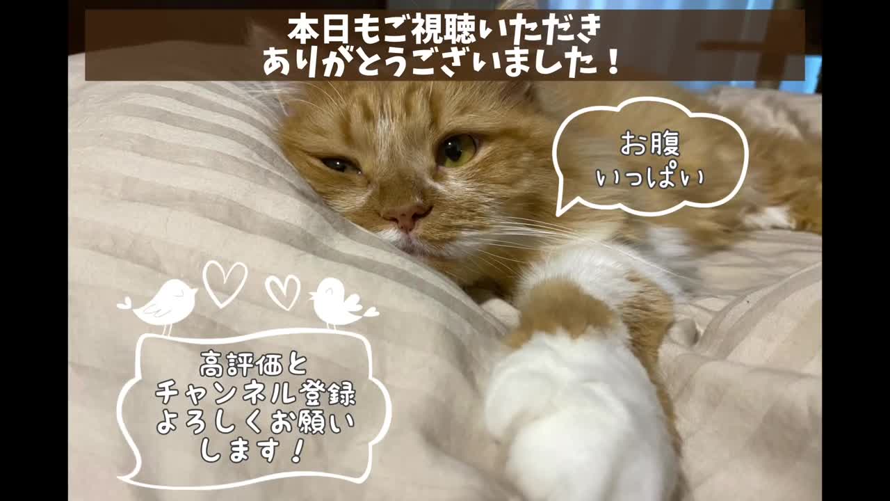 新聞紙で遊んでみた!
