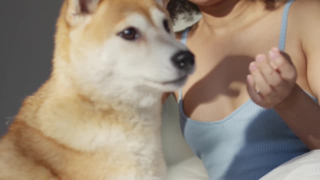 A girl who takes great care of a dog