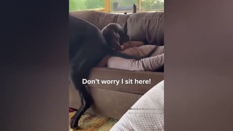 #1 Satisfying Videos Compilation 2023 Funny 😆