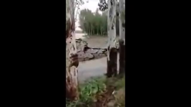 Inexplicable phenomena filmed on camera in Russia and the world