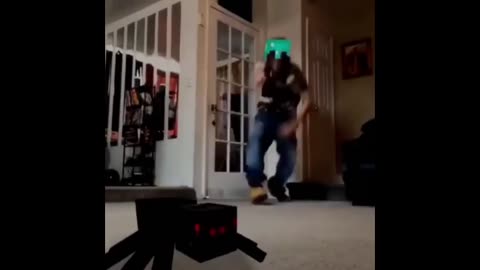 Videos I Stole From Instagram And Twitter,