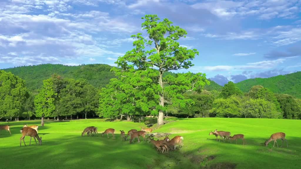 If healing has color, it must be green and blue. # Healing is landscape