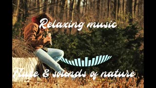 Relaxing Music | Sleeping, Meditation, Stress Relief | [5193] ⭐️