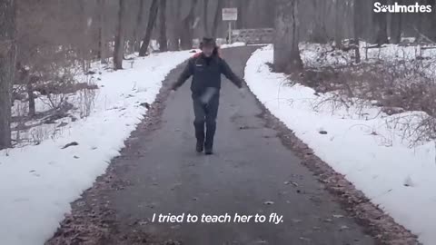 Guy Teaches His Rescued Gosling How To Fly | The Dodo Soulmates