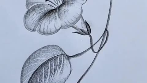 Beautiful drawing