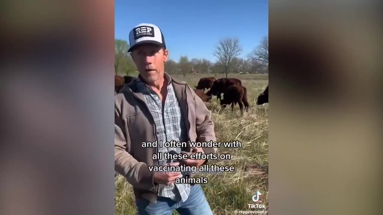 Cattle Farmers Are Starting To Reject Big Pharma