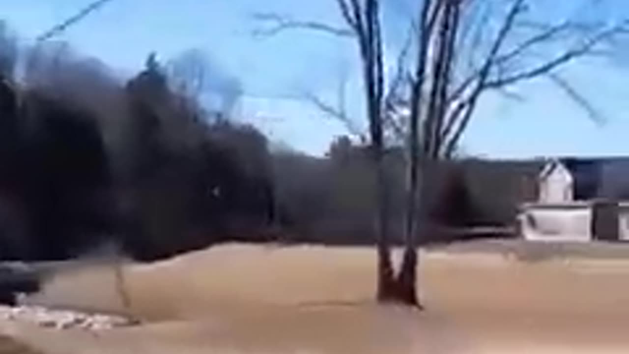 Funny Animal Video 2022