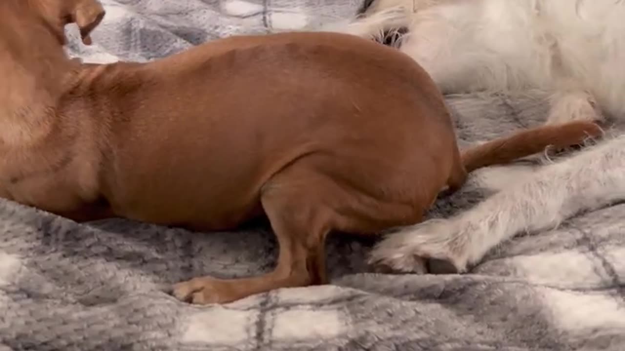 Jack and Max