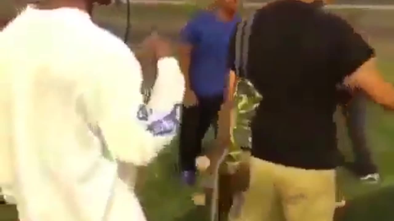 Two brothers come to a park to beat up a guy who attacked their sister but beat up the wrong guy 😳