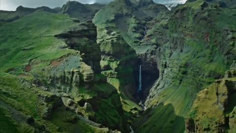 Nature Video Therapy for you.