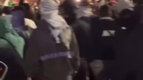 Pro-Hamas rally in Sydney, as participants chant “f*ck the Jews.”