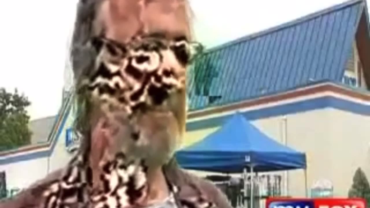 Un cloaking shapeshifters is the mission