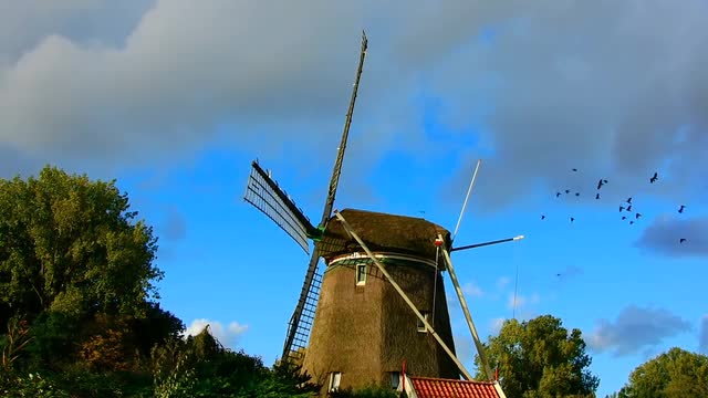 Windmill Mill Flock Of Birds Skies Cloud