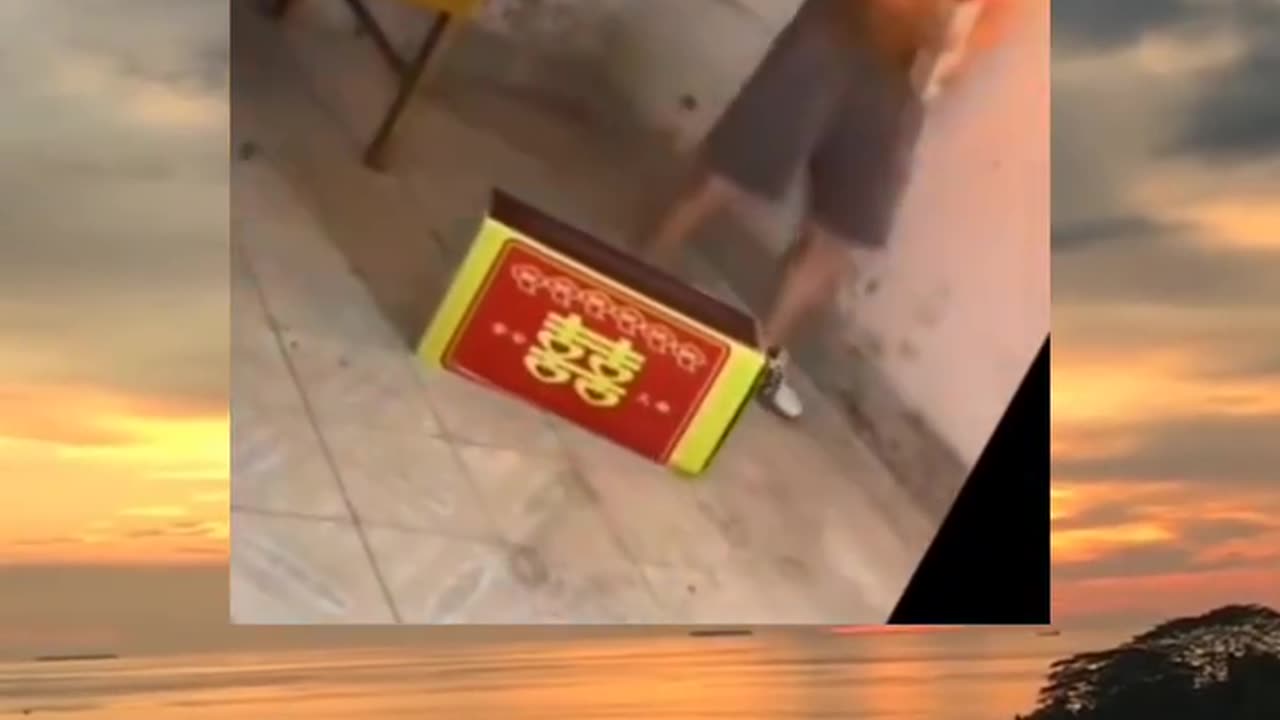 Funny videosππππππ