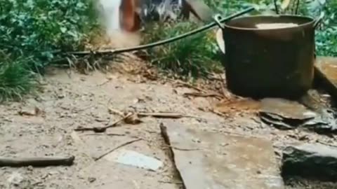 The end 😂😂😂 #funny #fails #shorts #reels #viral #humorexpose