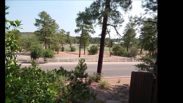 207 N Bronco Circle, Trailwood, Payson, AZ, Deborah Rose (84959) 08-21